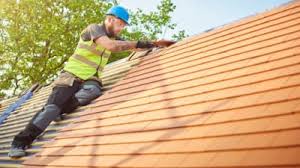 Best Roof Moss and Algae Removal  in Plainville, KS
